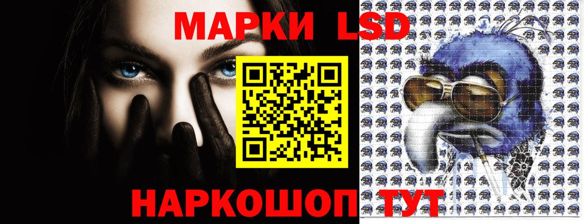 Марки N-bome  купить закладку  Марки N-bome 1500мкг  Вход с VPN  Елабуга  Марки N-bome 1500мкг 