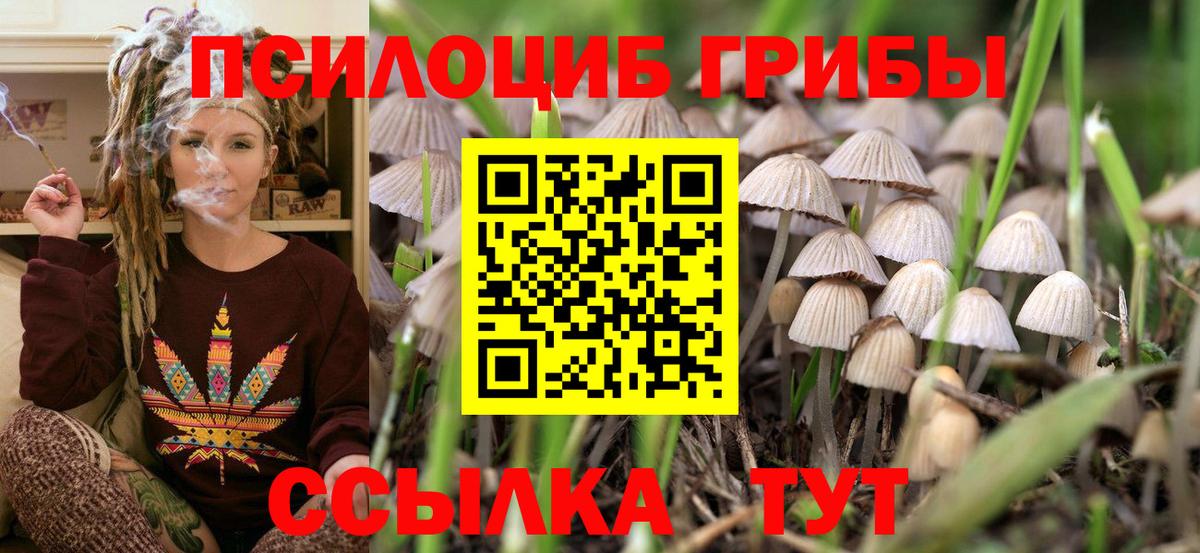 даркнет сайт  Галлюциногенные грибы Psilocybe  Вход с VPN  Елабуга 