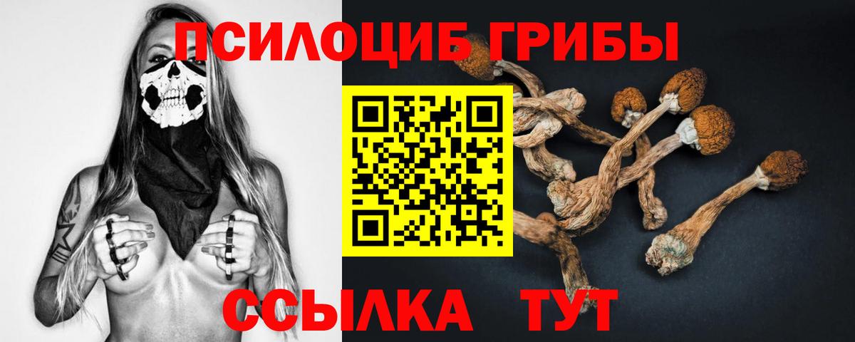 Галлюциногенные грибы MAGIC MUSHROOMS Елабуга